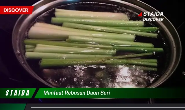 manfaat rebusan daun seri