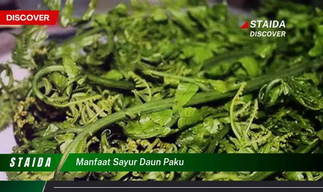 Ketahui 10 Manfaat Sayur Daun Paku untuk Kesehatan Tubuh Anda