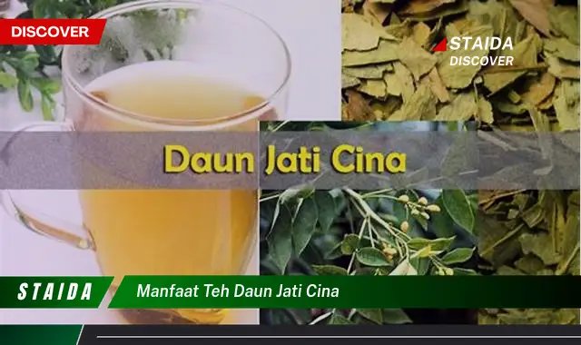 Temukan Manfaat Teh Daun Jati Cina yang Jarang Diketahui