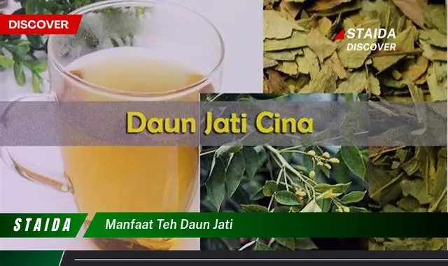 Temukan 7 Manfaat Teh Daun Jati yang Jarang Diketahui