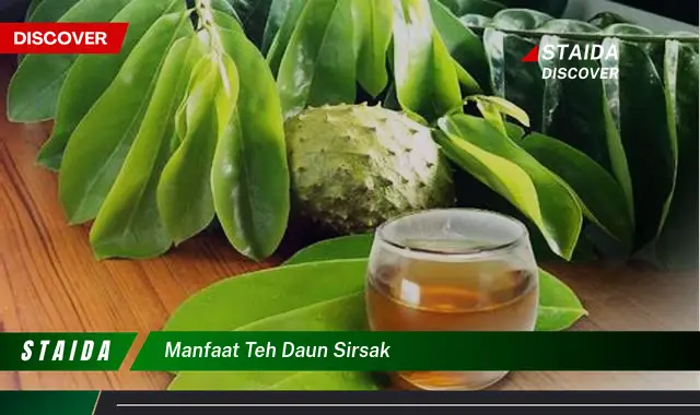 Temukan Rahasia Manfaat Teh Daun Sirsak yang Jarang Diketahui Anda Perlu Tahu!