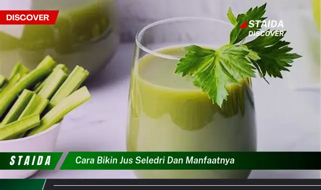 cara bikin jus seledri dan manfaatnya