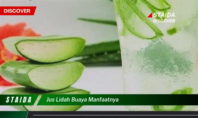 7 Manfaat Jus Lidah Buaya yang Jarang Diketahui