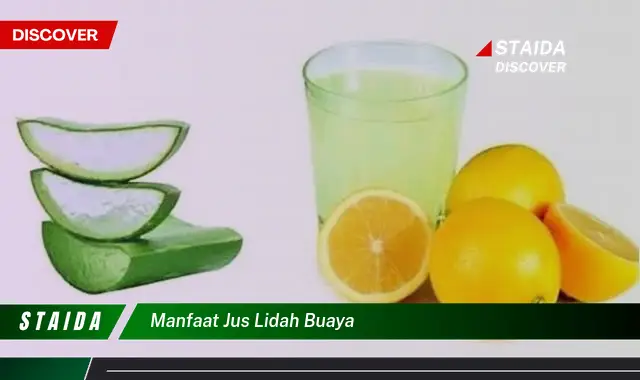 Temukan 7 Manfaat Jus Lidah Buaya yang Jarang Diketahui