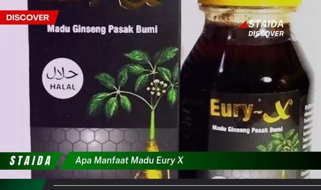 Temukan 7 Manfaat Madu Eury X yang Jarang Diketahui