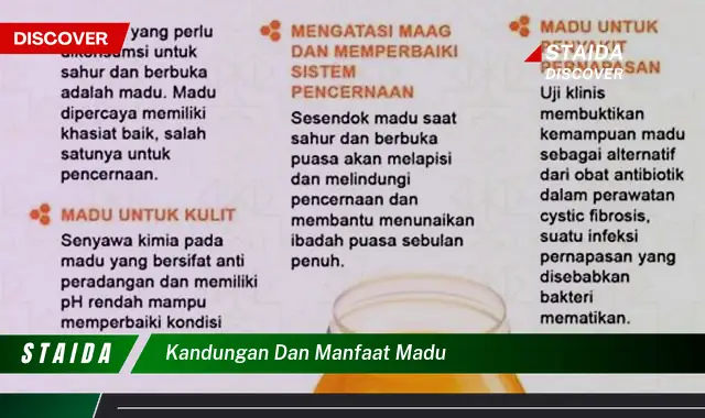 Temukan 7 Manfaat Madu yang Jarang Diketahui yang Perlu Anda Ketahui