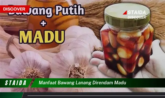 Temukan 7 Manfaat Bawang Lanang Rendam Madu yang Jarang Diketahui