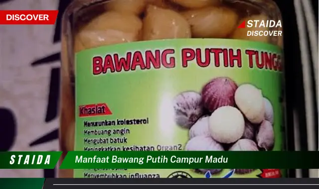 Temukan 7 Manfaat Bawang Putih Campur Madu yang Jarang Diketahui