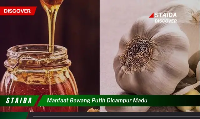 Temukan 7 Manfaat Bawang Putih Dicampur Madu yang Jarang Diketahui