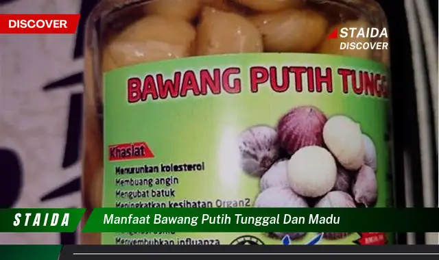 Temukan Manfaat Bawang Putih Tunggal dan Madu yang Jarang Diketahui