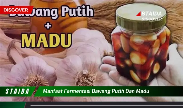 Temukan Manfaat Fermentasi Bawang Putih dan Madu yang Jarang Diketahui