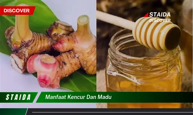 Temukan Manfaat Kencur dan Madu yang Jarang Anda Ketahui untuk Kesehatan