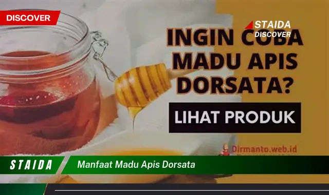 Temukan 7 Manfaat Madu Apis Dorsata yang Jarang Diketahui