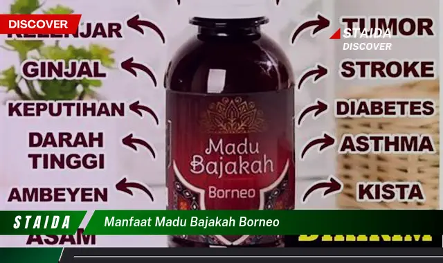 Temukan Manfaat Madu Bajakah Borneo yang Jarang Diketahui