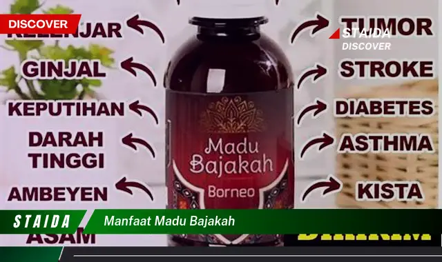 Temukan 7 Khasiat Madu Bajakah yang Jarang Diketahui