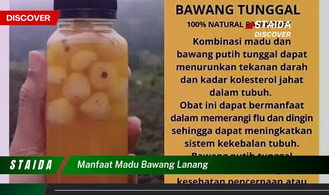 Temukan 7 Manfaat Madu Bawang Lanang yang Jarang Diketahui