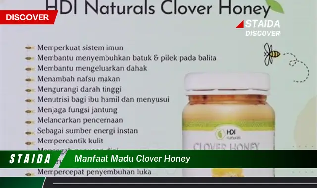 Temukan 7 Manfaat Madu Clover Honey yang Jarang Diketahui