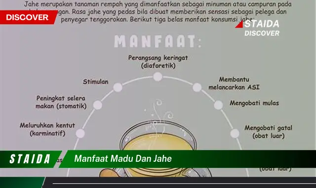 Temukan 7 Manfaat Madu dan Jahe yang Jarang Diketahui