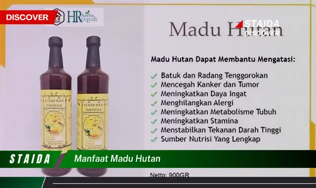 Temukan Manfaat Madu Hutan yang Jarang Diketahui dan Luar Biasa