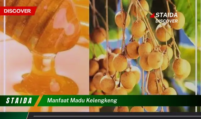 Temukan 7 Khasiat Madu Kelengkeng yang Jarang Diketahui