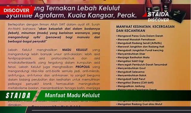 Temukan Manfaat Madu Kelulut yang Mencengangkan