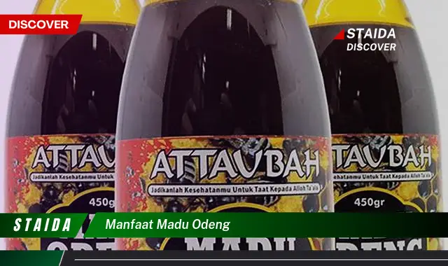 Temukan Manfaat Madu Odeng Untuk Tubuhmu