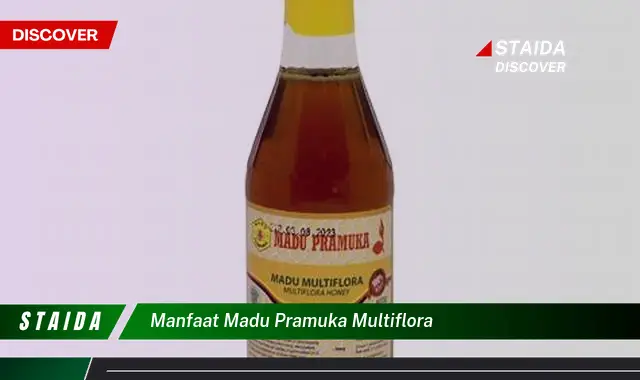 Temukan Manfaat Madu Pramuka Multiflora yang Jarang Diketahui