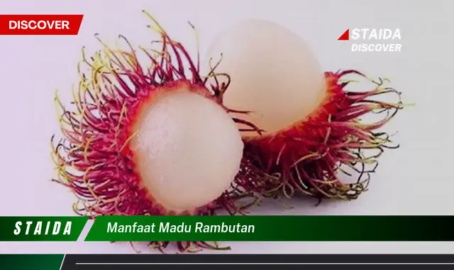 Temukan 7 Manfaat Madu Rambutan yang Belum Banyak Diketahui