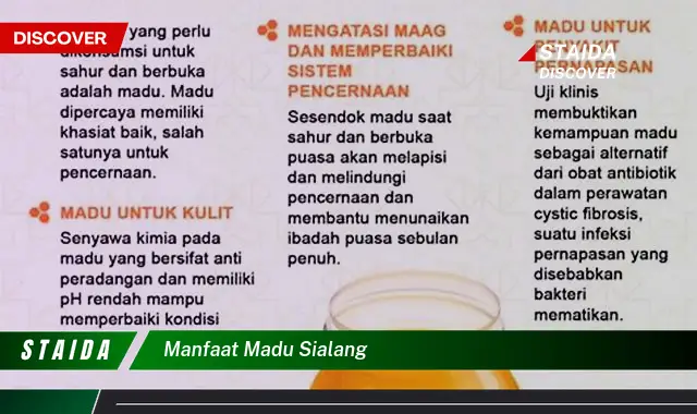 Temukan Manfaat Madu Sialang yang Jarang Diketahui