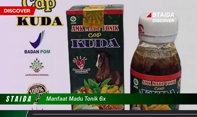 Temukan 7 Manfaat Madu Tonik 6X yang Jarang Diketahui