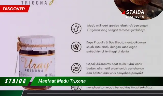 Manfaat Madu Trigona yang Jarang Diketahui, Wajib Dicoba!