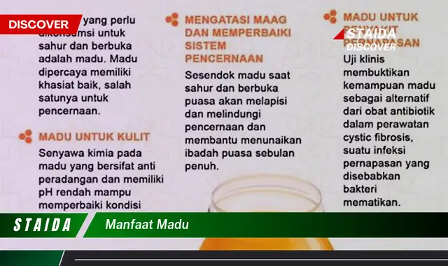 Temukan 7 Manfaat Madu yang Jarang Diketahui