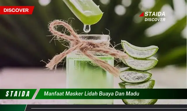 Temukan Rahasia Masker Lidah Buaya dan Madu yang Jarang Diketahui