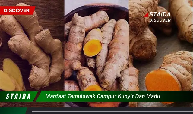 Temukan 7 Manfaat Temulawak Campur Kunyit dan Madu yang Jarang Diketahui