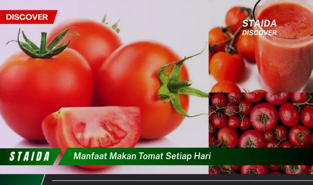 Temukan Manfaat Makan Tomat Setiap Hari yang Jarang Diketahui