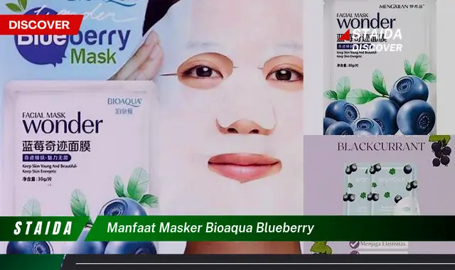 Temukan 7 Manfaat Masker Bioaqua Blueberry yang Jarang Diketahui