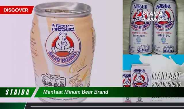 Temukan Manfaat Bear Brand yang Jarang Diketahui untuk Kesehatan Anda
