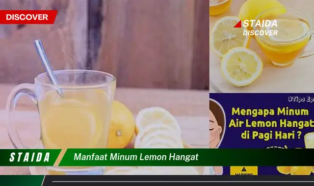Temukan 7 Manfaat Minum Lemon Hangat yang Jarang Diketahui