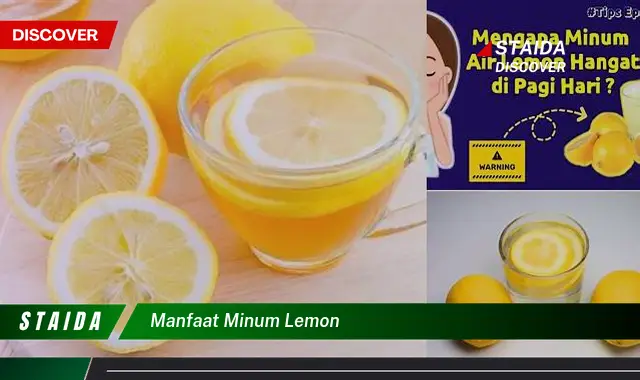 Temukan Manfaat Minum Lemon yang Tak Terduga untuk Kesehatan Anda