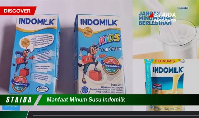 Temukan Rahasia Manfaat Minum Susu Indomilk yang Jarang Diketahui