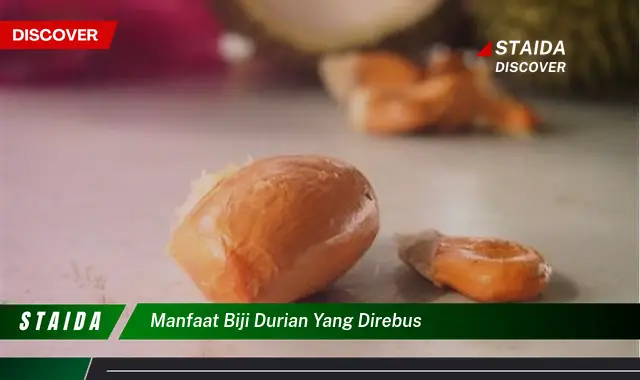 7 Manfaat Rebusan Biji Durian Jarang Diketahui