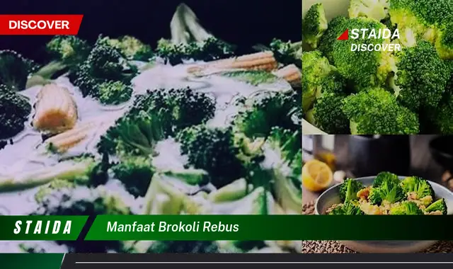 Temukan Manfaat Brokoli Rebus yang Jarang Diketahui untuk Kesehatan Anda