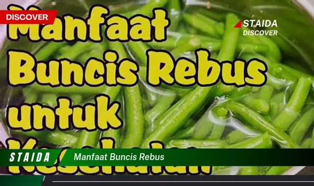 Temukan 7 Manfaat Mengejutkan Buncis Rebus