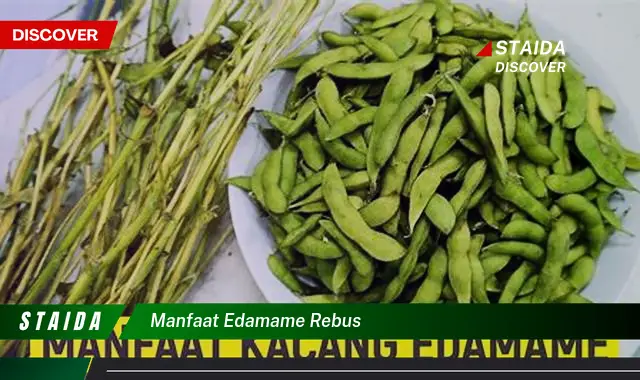 Manfaat Tersembunyi Edamame Rebus, 7 Khasiat yang Perlu Anda Tahu