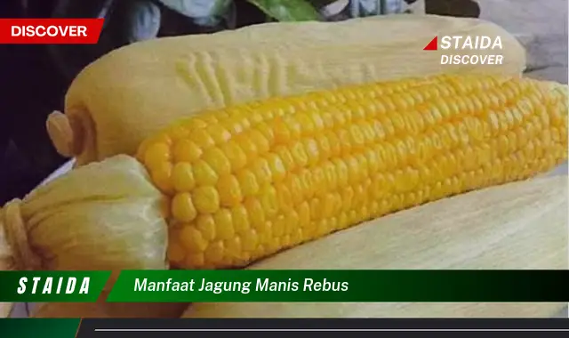 7 Manfaat Jagung Rebus yang Jarang Diketahui