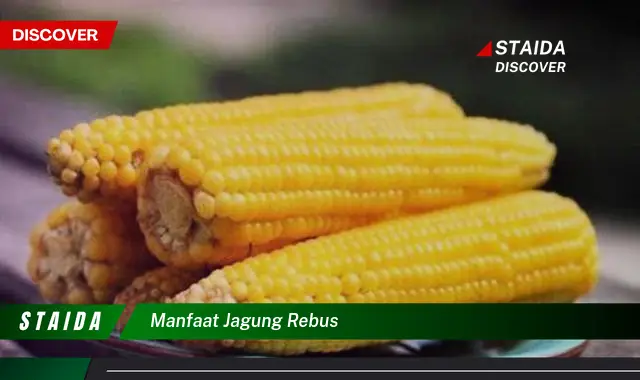 Manfaat Jagung Rebus: Penemuan dan Wawasan yang Jarang Diketahui