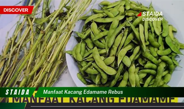 7 Khasiat Luar Biasa Rebusan Kacang Edamame