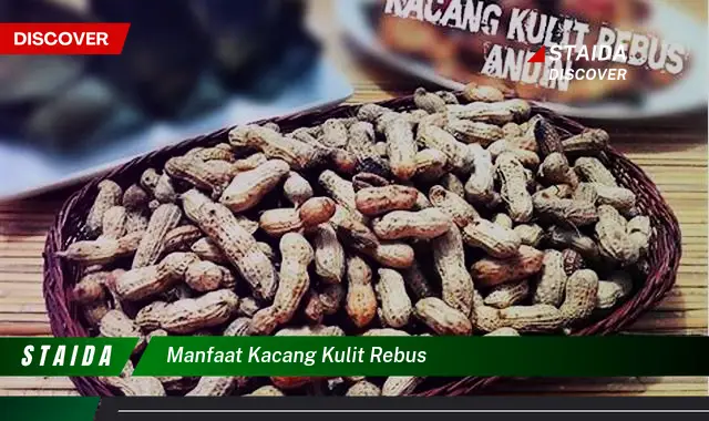 Temukan 7 Khasiat Kacang Kulit Rebus yang Jarang Diketahui untuk Kesehatan Anda