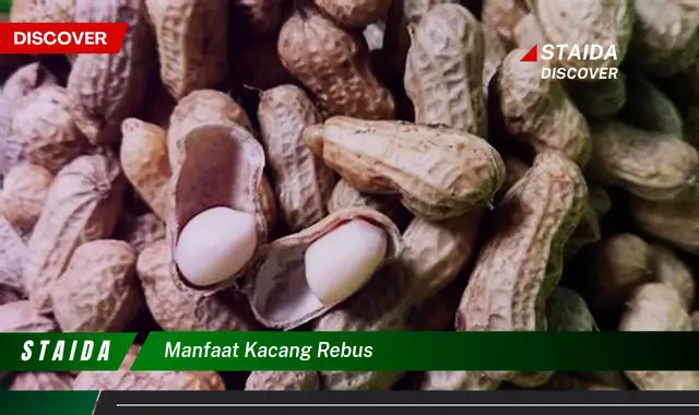 Temukan 7 Manfaat Kacang Rebus yang Jarang Diketahui