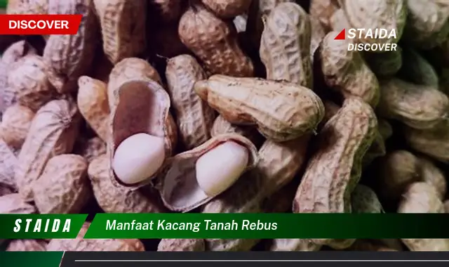 Temukan Manfaat Kacang Tanah Rebus yang Jarang Diketahui